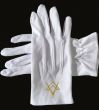GO Masonic Gloves - 100% Cotton